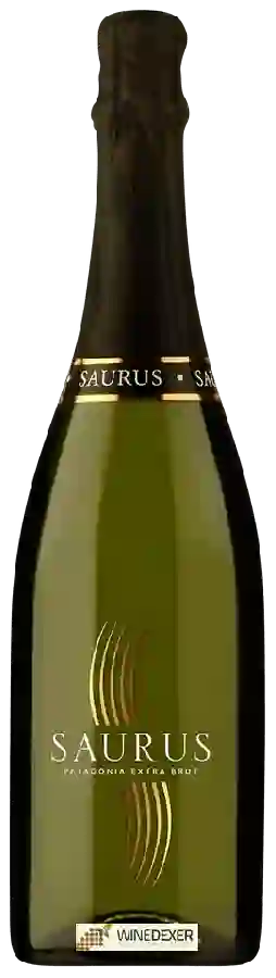 Winery Schroeder - Saurus Extra Brut