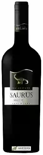 Winery Schroeder - Saurus Malbec