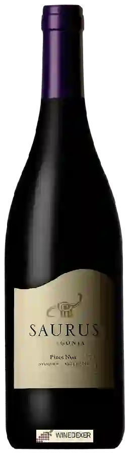 Winery Schroeder - Saurus Pinot Noir Winery Schroeder - Saurus Pinot Noir