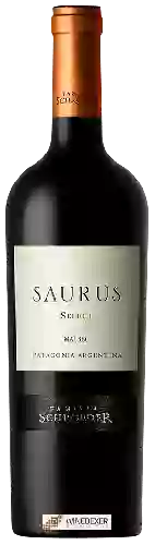 Winery Schroeder - Saurus Select Malbec