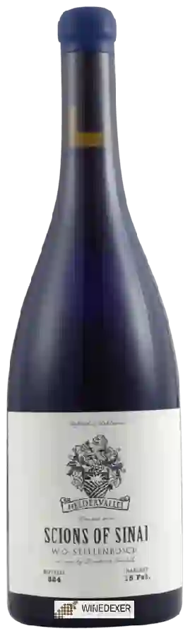 Winery Scions of Sinai - Heldervallei
