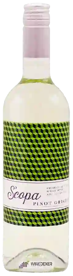 Winery Scopa - Pinot Grigio