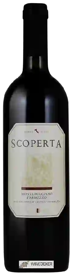 Winery Scoperta - Montepulciano d'Abruzzo Winery Scoperta - Montepulciano d'Abruzzo