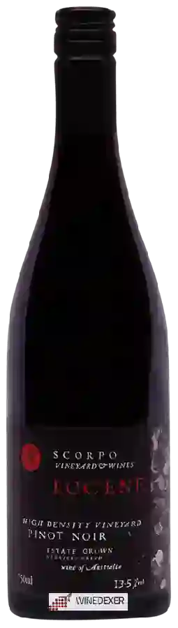 Winery Scorpo - Eocene High Density Vineyard Pinot Noir Winery Scorpo - Eocene High Density Vineyard Pinot Noir