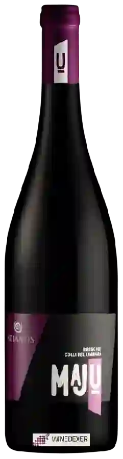 Winery Sebastiano Sannitu - Maju Rosso