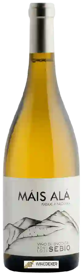 Winery Sebio - Mais Ala Paraxe a Falcoeira Winery Sebio - Mais Ala Paraxe a Falcoeira