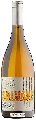 Winery Sebio - Salvaxe