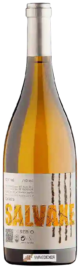 Winery Sebio - Salvaxe