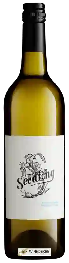 Winery Seedling - Sauvignon Blanc