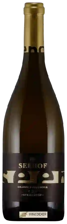 Winery Seehof - Grauer Burgunder S Steingrube