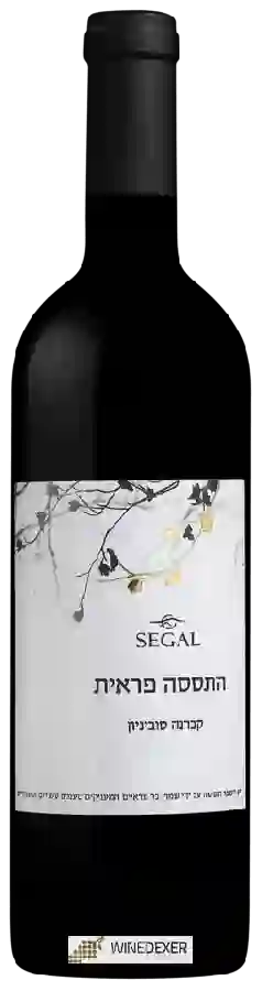 Winery Segal's - התססה פראית קברנה סוביניון (Wild fermentation Cabernet Sauvignon)