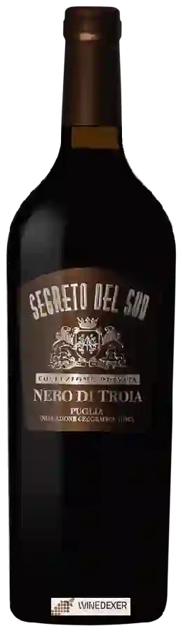 Winery Segreto del Sud - Collezione Privata Nero di Troia Winery Segreto del Sud - Collezione Privata Nero di Troia