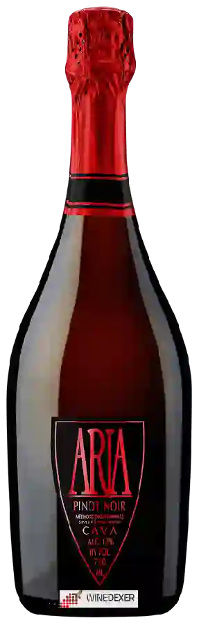 Winery Segura Viudas - Aria Cava Pinot Noir Brut