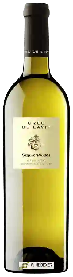Winery Segura Viudas - Creu de Lavit