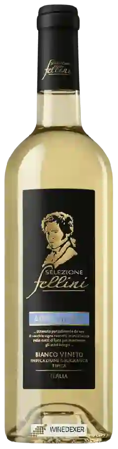 Winery Selezione Fellini - Appassione Bianco Winery Selezione Fellini - Appassione Bianco