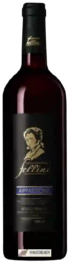 Winery Selezione Fellini - Appassione Rosso Veneto Winery Selezione Fellini - Appassione Rosso Veneto