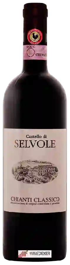 Winery Castello di Selvole - Chianti Classico