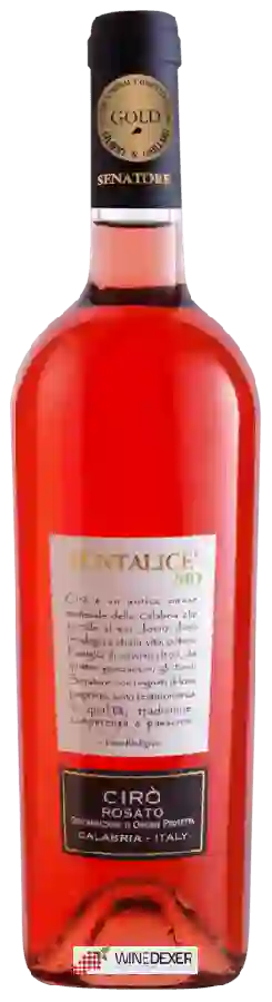 Winery Senatore - Puntalice Rosato