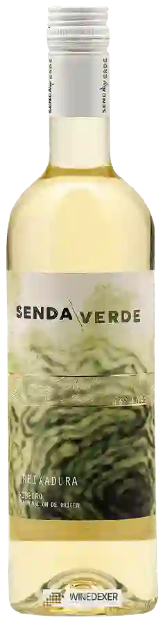 Winery Senda Verde - Treixadura Winery Senda Verde - Treixadura