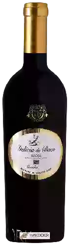Winery Señorio de Villarrica - Delicia de Baco Tinto