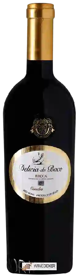 Winery Señorio de Villarrica - Delicia de Baco Tinto