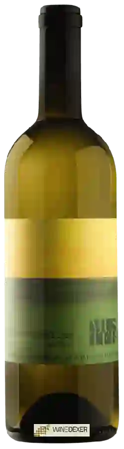 Winery Sepp & Maria Muster - Welschriesling vom Opok