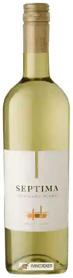 Winery Séptima - Sauvignon Blanc Winery Séptima - Sauvignon Blanc