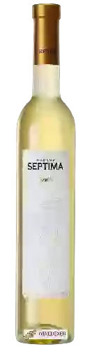 Winery Séptima - Tardío