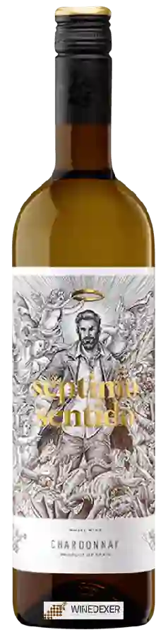Winery Séptimo Sentido - Chardonnay
