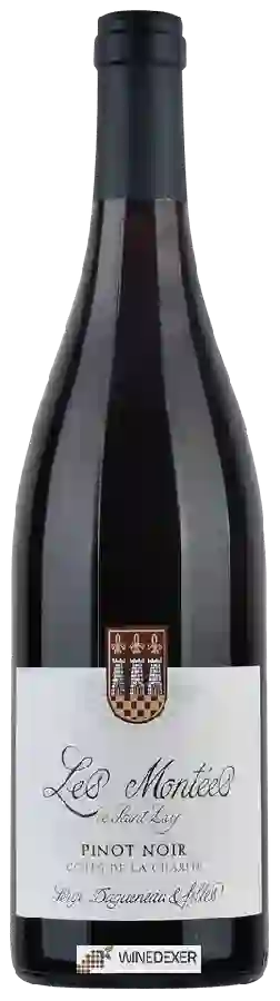 Winery Serge Dagueneau & Filles - Les Montées de St Lay Côtes de la Charite Pinot Noir