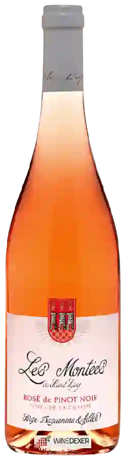 Winery Serge Dagueneau & Filles - Les Montées de St Lay Côtes de la Charité Rosé Winery Serge Dagueneau & Filles - Les Montées de St Lay Côtes de la Charité Rosé