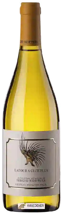 Winery Sergio Mottura - Latour a Civitella