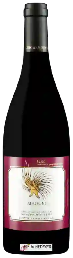 Winery Sergio Mottura - Magone Winery Sergio Mottura - Magone