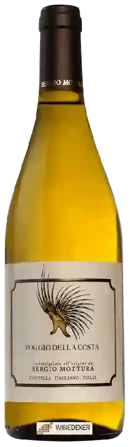 Winery Sergio Mottura - Poggio della Costa Winery Sergio Mottura - Poggio della Costa