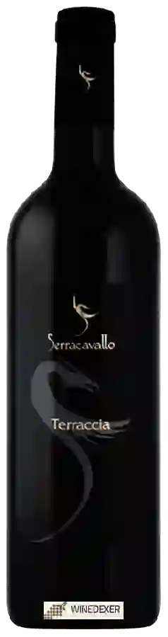 Winery Serracavallo - Terraccia
