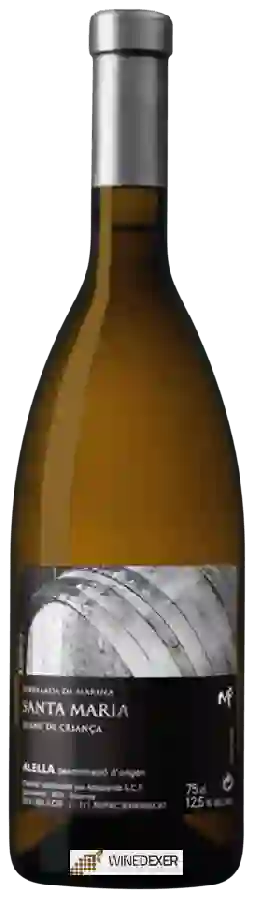 Winery Serralada de Marina - Santa Maria