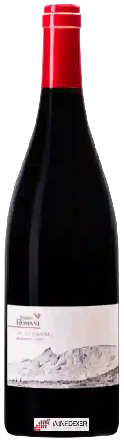 Winery Serre Romani - Le Cathare Winery Serre Romani - Le Cathare