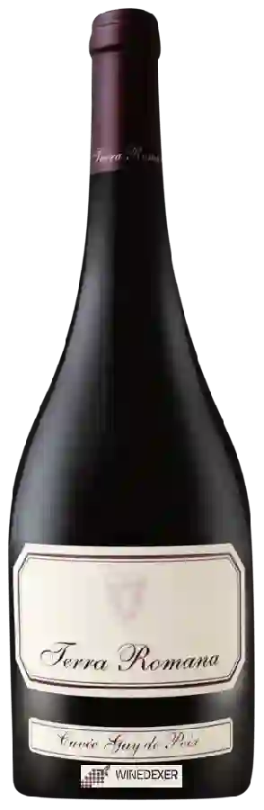 Winery Serve - Terra Romana Cuvée Guy de Poix