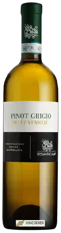 Winery Sessantacampi - Pinot Grigio
