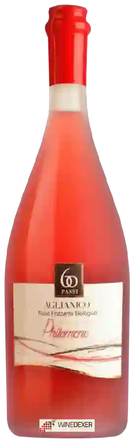 Winery Sessantapassi - Philomene Aglianico Rosé Frizzante Winery Sessantapassi - Philomene Aglianico Rosé Frizzante
