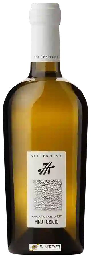 Winery Setteanime - Pinot Grigio