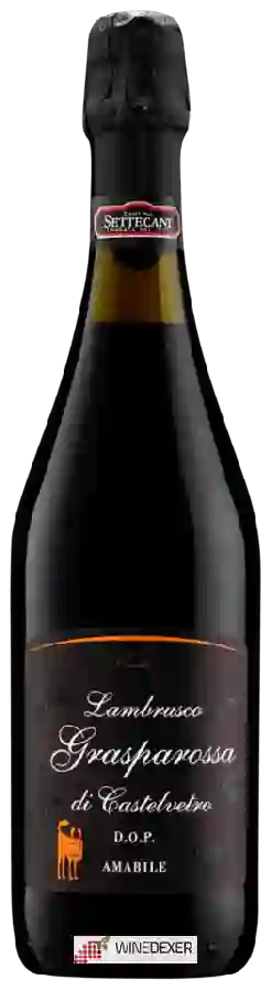 Winery Cantina Settecani - Amabile Lambrusco Grasparossa di Castelvetro