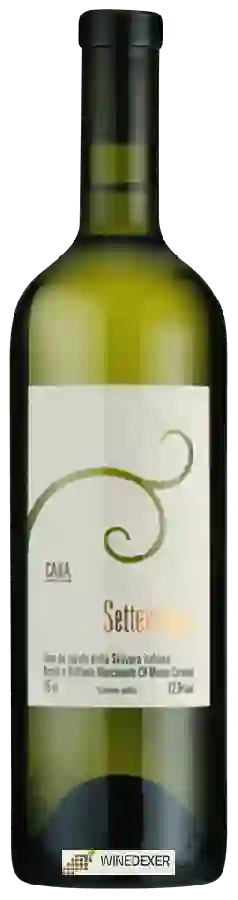 Winery Settemaggio - Cana Winery Settemaggio - Cana