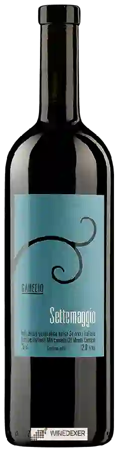 Winery Settemaggio - Gamedio