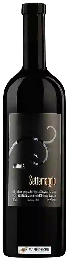 Winery Settemaggio - Vindala