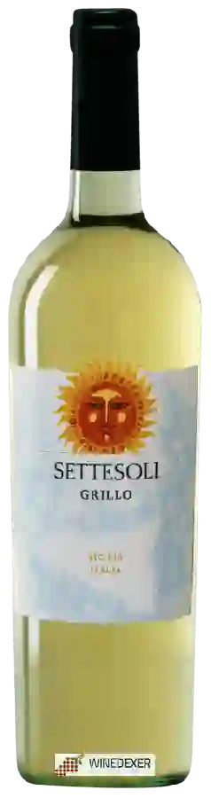 Winery Settesoli - Grillo Sicilia Winery Settesoli - Grillo Sicilia