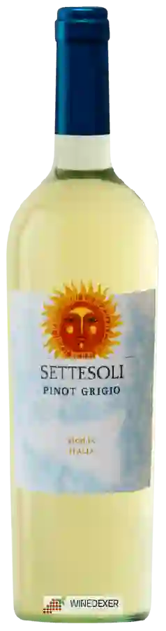Winery Settesoli - Pinot Grigio Sicilia