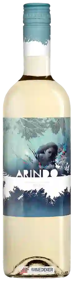 Winery Shaya - Arindo Winery Shaya - Arindo