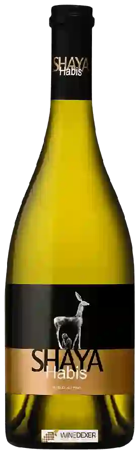 Winery Shaya - Habis