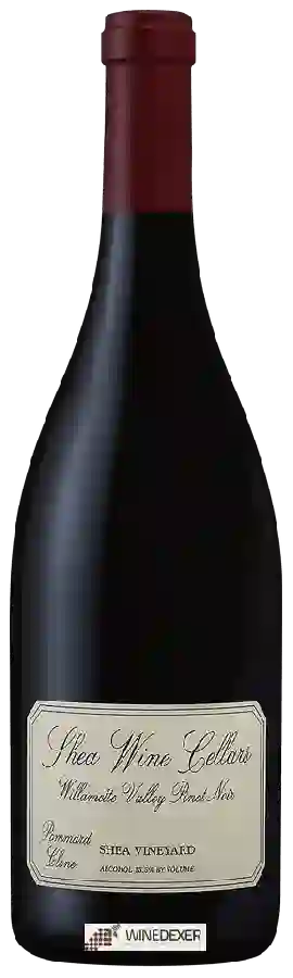 Winery Shea Wine Cellars - Pommard Clone Pinot Noir